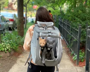 Are Cat Backpacks Safe